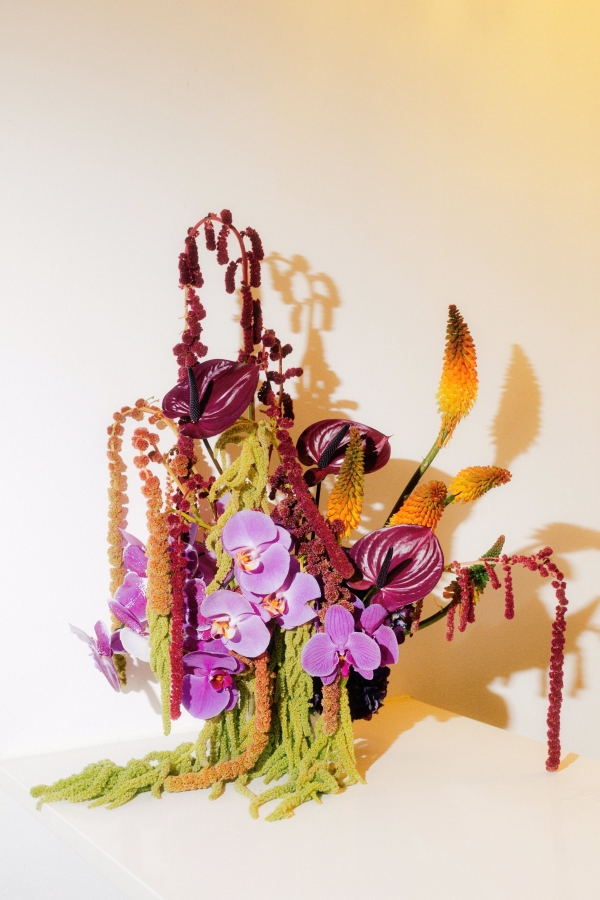 Photographers Tomasz Wagner