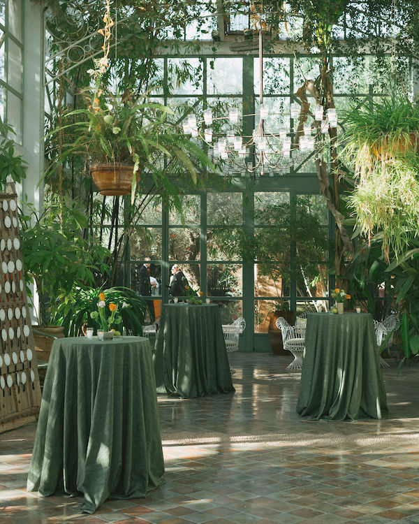 A Joyful Wedding in the Gardens of Marrakech