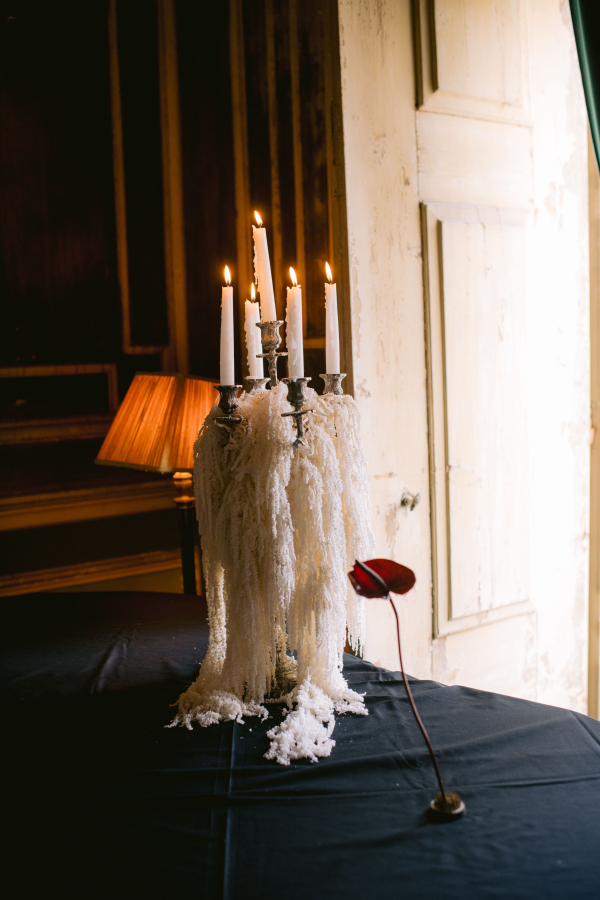 Florists Babel Bloom