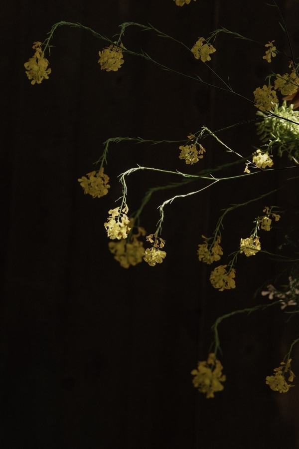 Planners Vanessa Pence Events