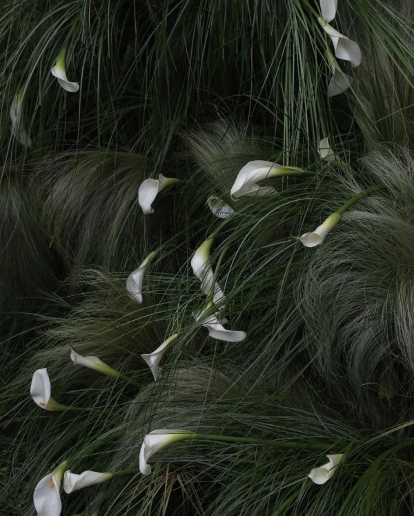 11 Major Event Design Trends for 2025 Weddings