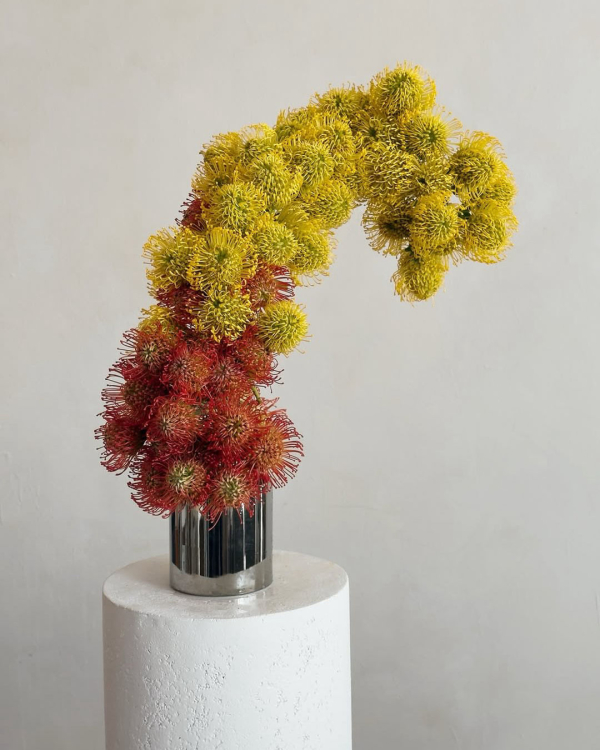 When to Book Wedding Vendors: The Complete Month-by-Month Timeline