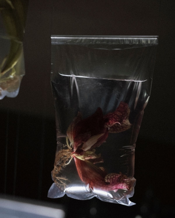 A Bold Botanical-Inspired Wedding Amongst Brutalist Architecture in Portugal