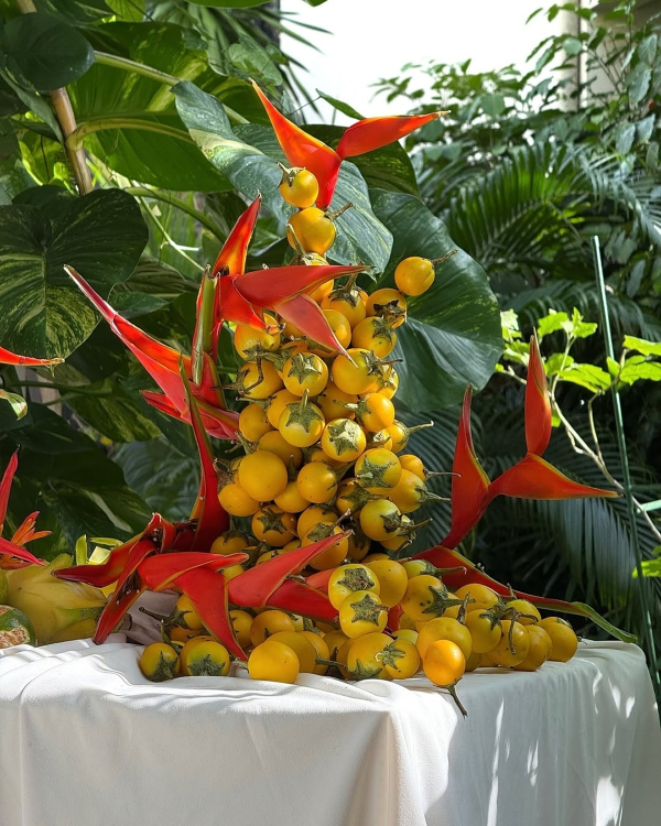 10 Major Event Design Trends for 2026