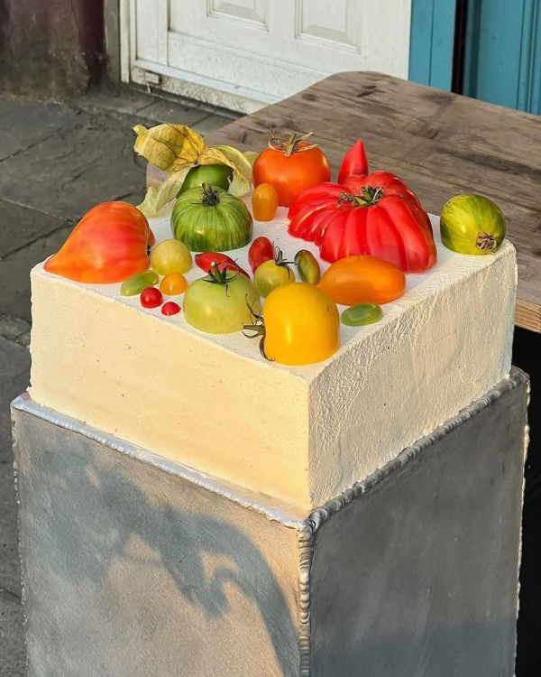 10 Major Cake Trends for 2026