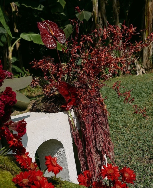 Florists DADA Island