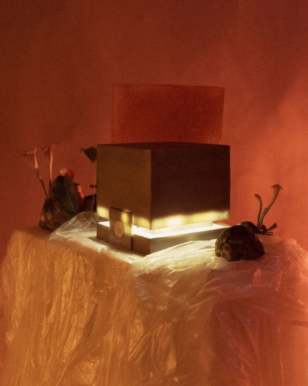 A Bold Botanical-Inspired Wedding Amongst Brutalist Architecture in Portugal