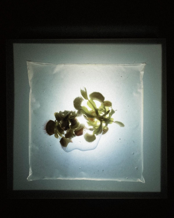 A Bold Botanical-Inspired Wedding Amongst Brutalist Architecture in Portugal