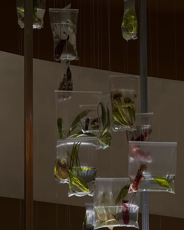 10 Major Event Design Trends for 2026