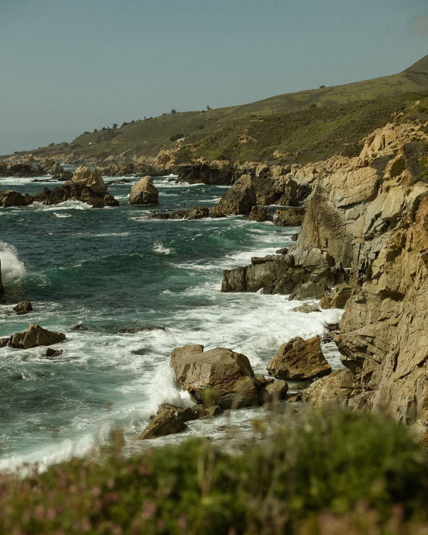 Why Nature Is the Best Backdrop for Your Wedding Photos