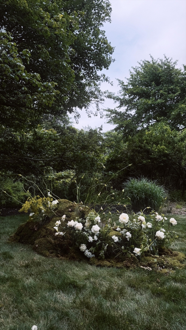 Content Creators Happily Ever Socials