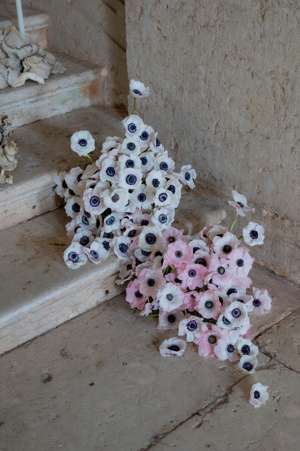 Florists Oh, Maria Flores