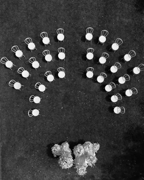 Florists The Petal Project