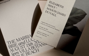 Stationery Bliss & Bone