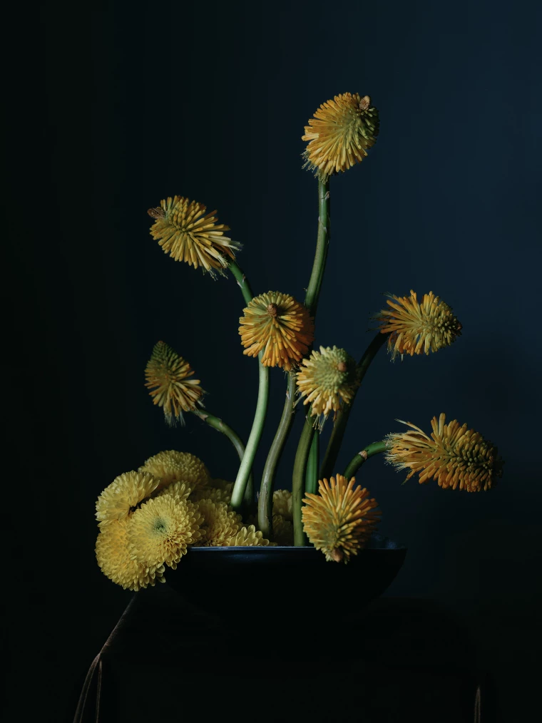 Florists Branco Prata