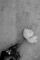 Photographers Kinship by Kristy