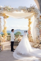 Planners Mille Papillons