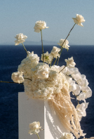 Planners All Things Beautiful