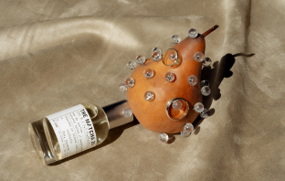 Photographers Love Bears