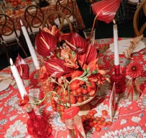 Photographers Amanda Young