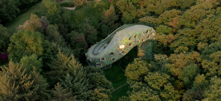 Photographers Love Bears