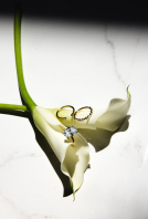 Photographers Maddie Kaye