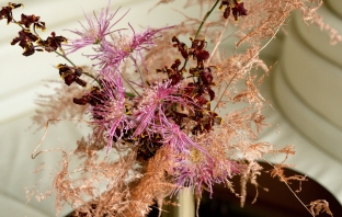 Florists Justin Reis Designs