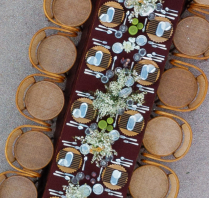 Photographers Lynn Shapiro