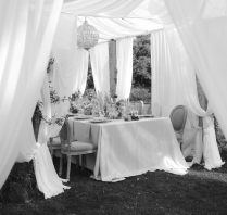 Photographers Franco Gribodo