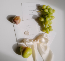 Photographers Beige and Wine