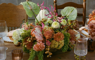 Photographers Nikki Strekowski