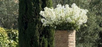 Content Creators Ce Jour Creations