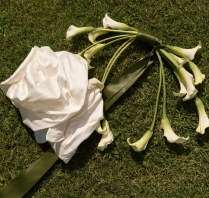 Stylists Studio Monfleur