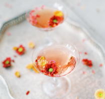 Planners Happy Moments Collector