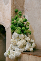 Photographers Megan Robinson