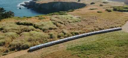 Planners Meag Breanne Events