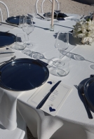 Content Creators Sarah Davoli Studio