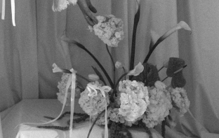 Florists The Cottage Rose