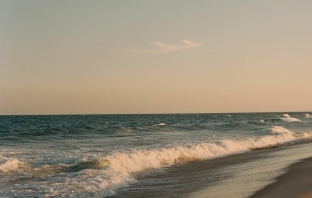 Photographers Norman and Blake