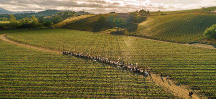 Planners Bash Please