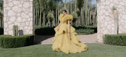 Photographers Marcus Jolly