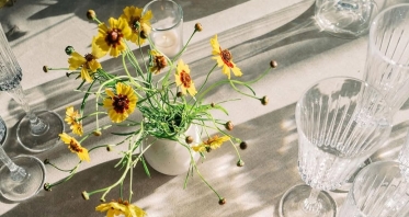 Florists Phosphorus Botanical