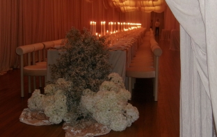 Florists Blooms By Cecilia