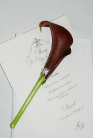 Photographers Yolanta Birkhane