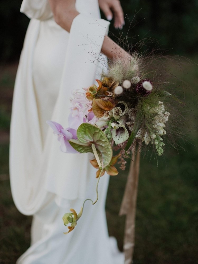 Florists Phosphorus Botanical