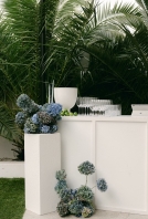 Photographers Renee Green