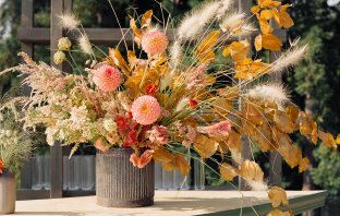 Planners Callista & Co