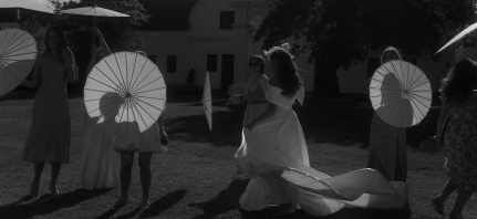 Photographers Vladimir Zakharov