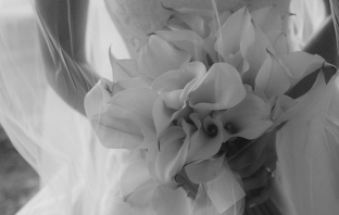 Photographers Kelly Mour