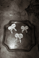 Cakes & Catering Clare Ellen Studio